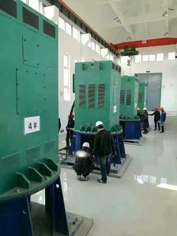 虎门镇某污水处理厂使用我厂的立式高压电机安装现场