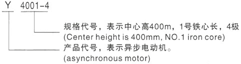 西安泰富西玛Y系列(H355-1000)高压虎门镇三相异步电机型号说明